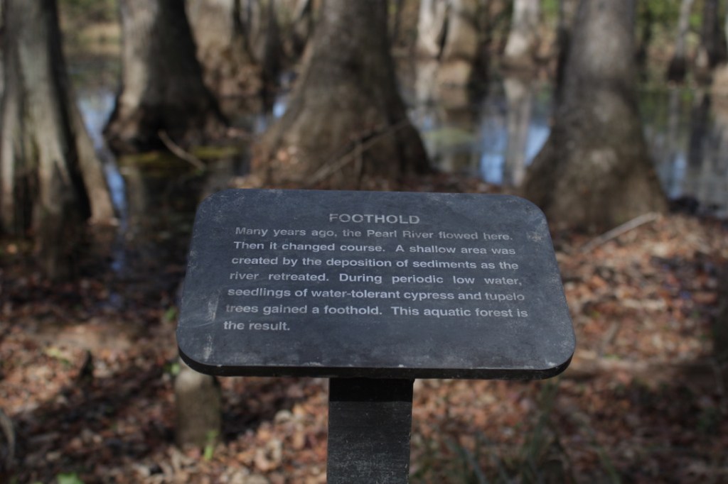 info sign at cypress swamp