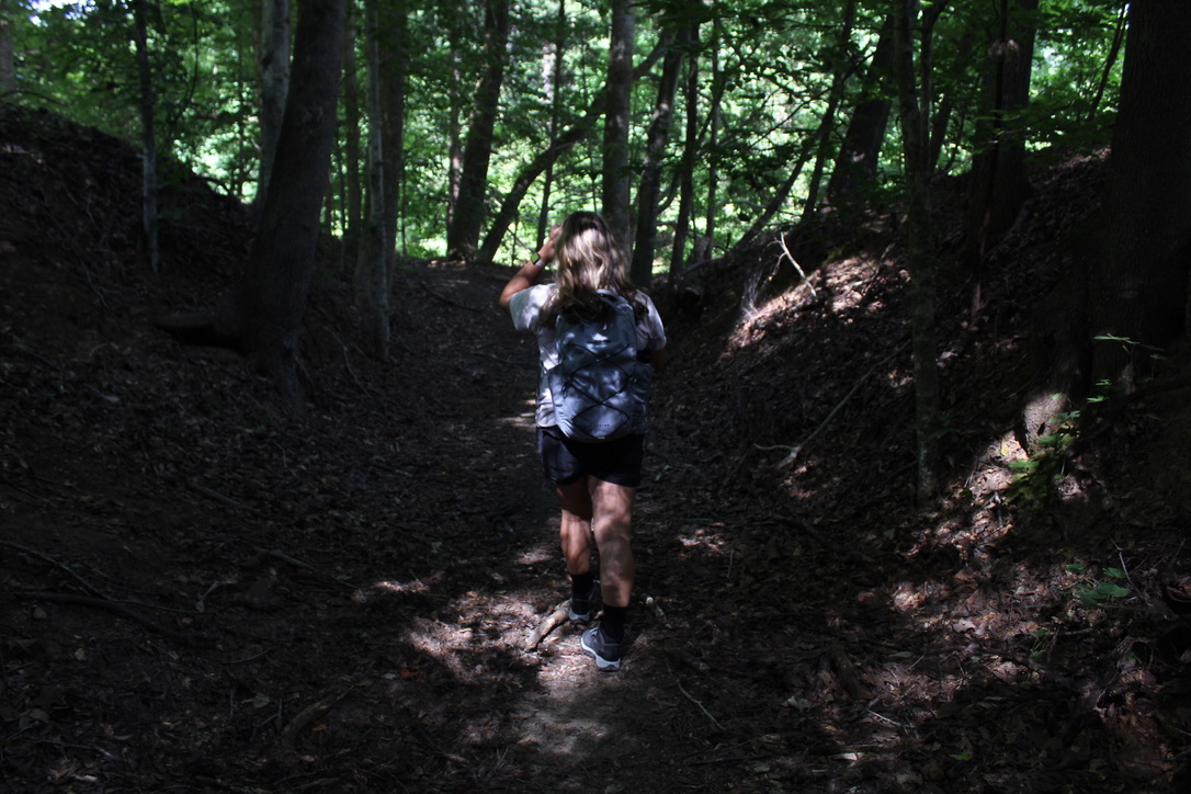 Natchez Trace Chronicles: The Sunken Trace