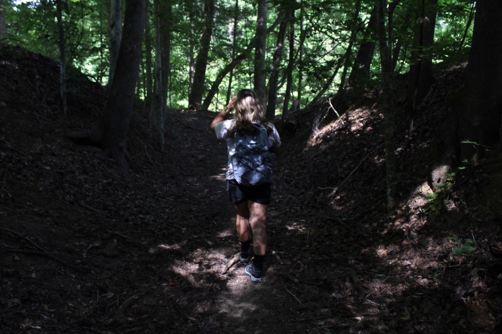 Natchez Trace Chronicles: The Sunken&nbsp;Trace