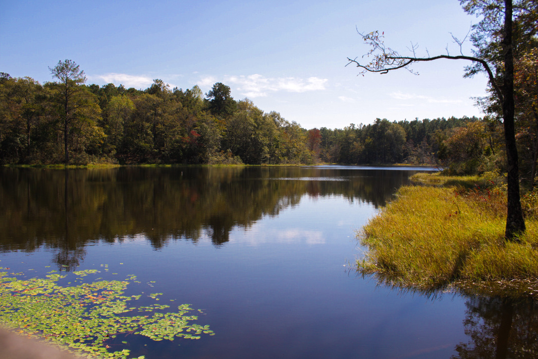 Lake Thoreau’s Trail: A Blend of Charm and Challenges