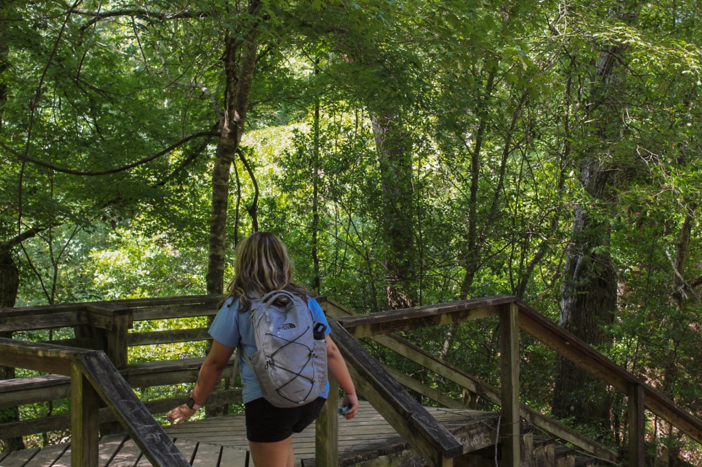 Chasing Waterfalls: Exploring the Enchanting Clark Creek Natural&nbsp;Area