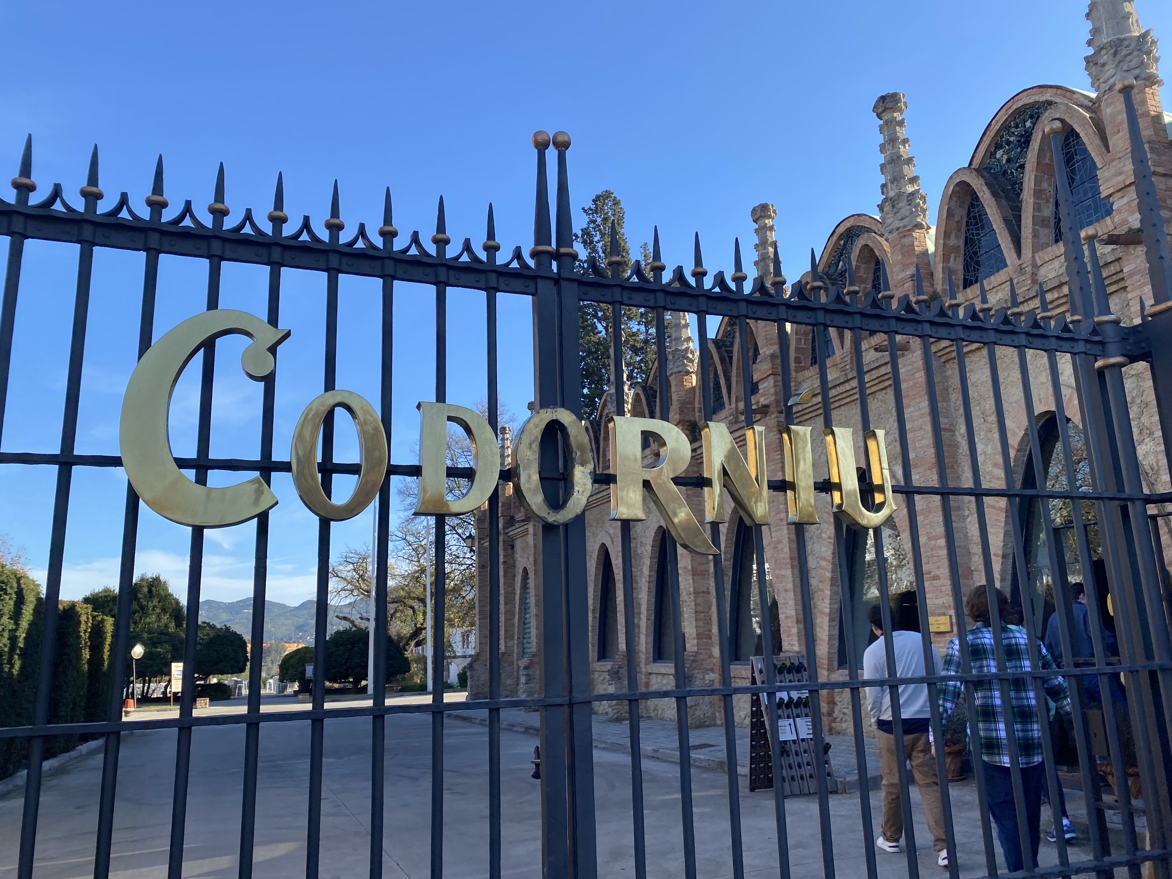Is Codorníu Winery Worth Visiting? Honest Winery Tour Review